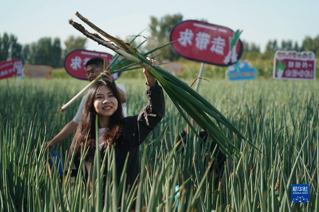 拉菲平台登录1